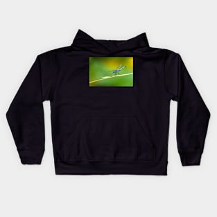 dragonfly Kids Hoodie